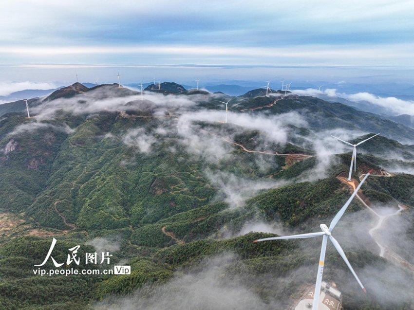 逃出白海豹洞